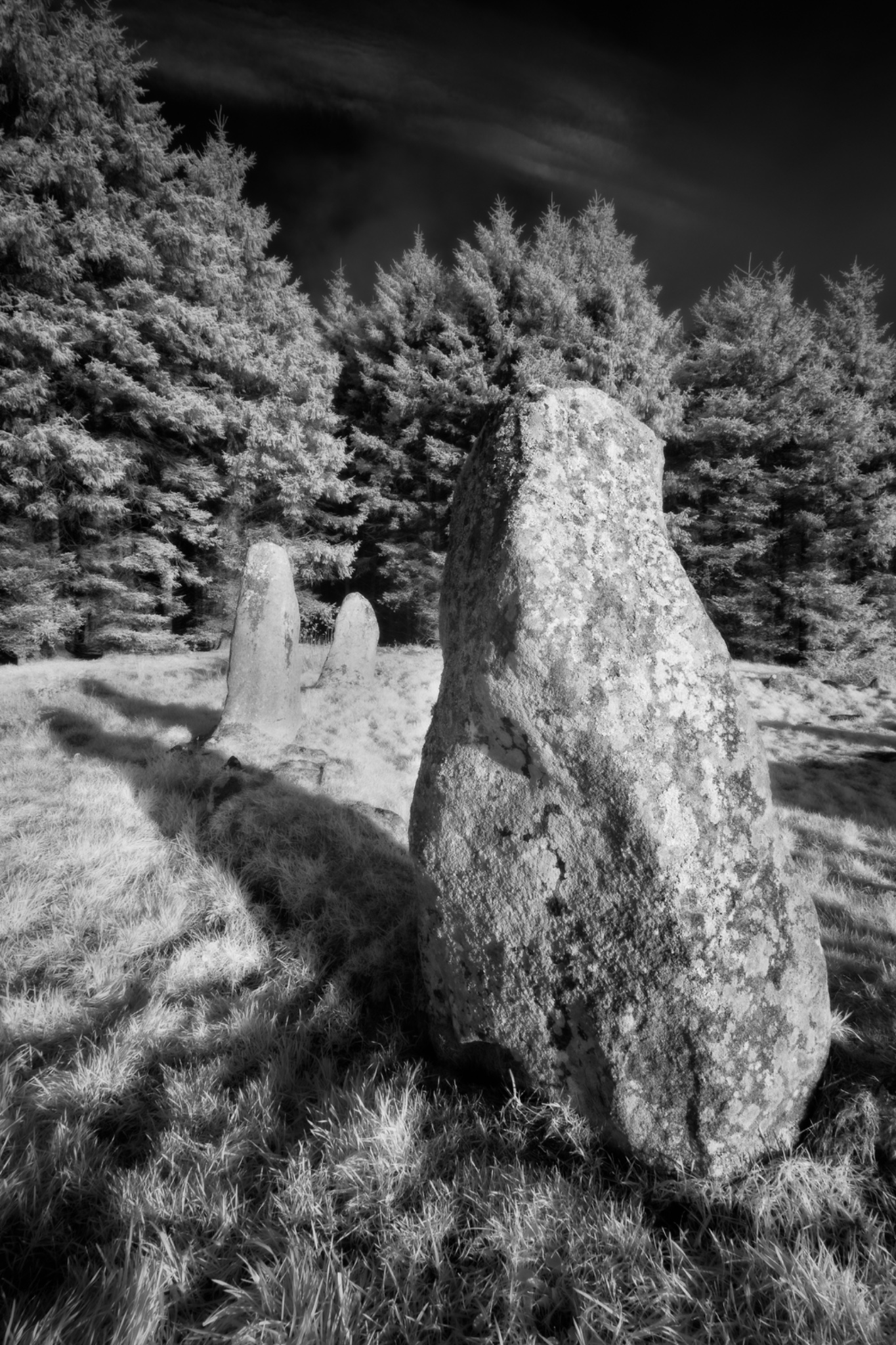 Aikey Brae Stone Circle, Aberdeenshire, Scotland.